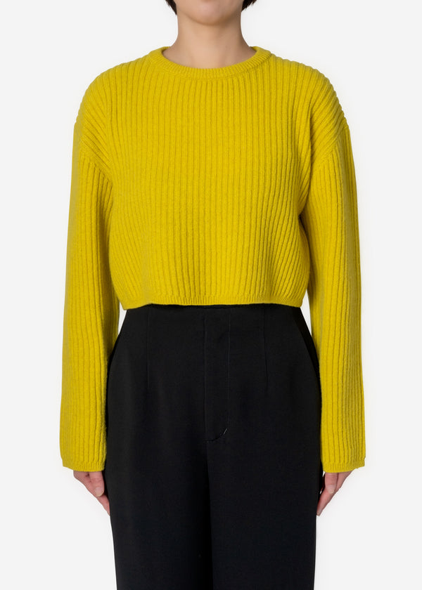 Cashmere Lambs Short Rib Sweater in Yellow