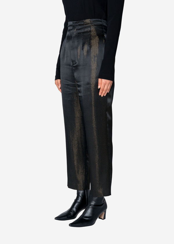 Sparkle Lame Pants in Black