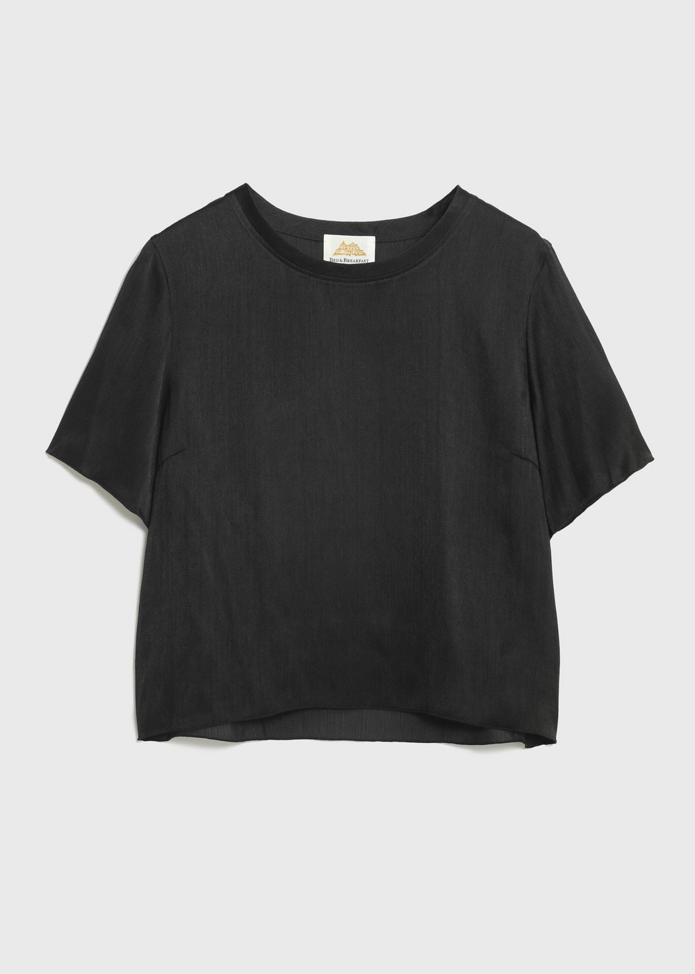 Tumbler Finishing Satin Tee 詳細画像 BLACK 3